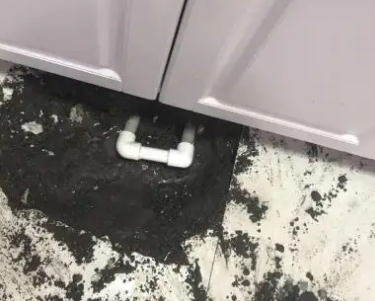 互助查漏水哪家好